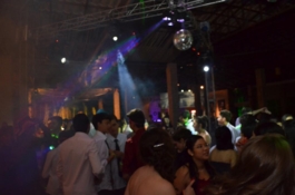 Plantas: imagem 4 de 4