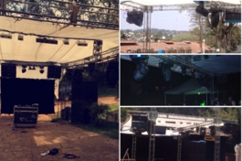 Plantas: imagem 4 de 4