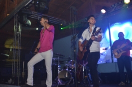 Plantas: imagem 4 de 4